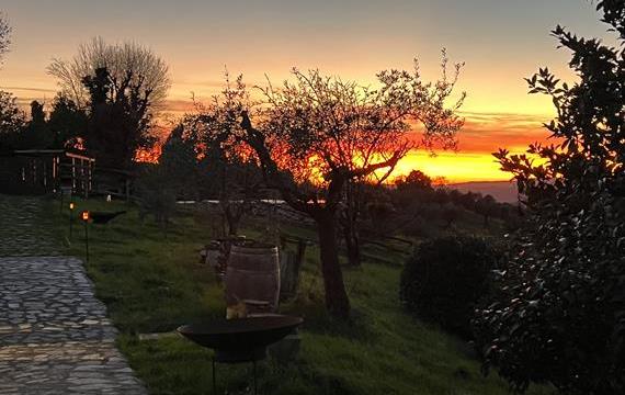 Tenuta Lisetta a Monterotondo